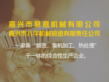 嘉兴市易嘉机械有限公司2023 年度绿色低碳发展年度报告
